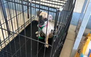 c42d0aae-49a3-4cdb-8e08-381ecd9f7dd8(1)