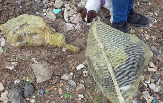 43a2a3ff-0b3d-4d2f-989d-a8ae5ec6fabb