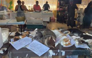 dd636ced-7fc3-4d06-987d-9e04e49bcd0b