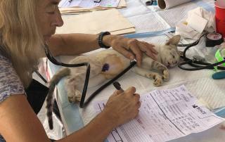 584754585_1242383521257187_5886867114342381088_n