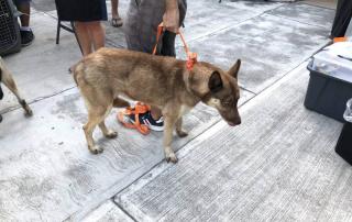 584932010_1242778017884404_1902303601615453415_n