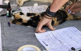 586039383_1242383534590519_5366843673086557350_n