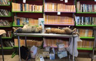 586400627_1242778034551069_4938803525293983455_n