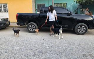 587273451_1242382804590592_6840323252139742463_n