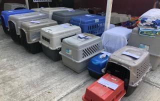 587859673_1242382874590585_1341378551615280884_n