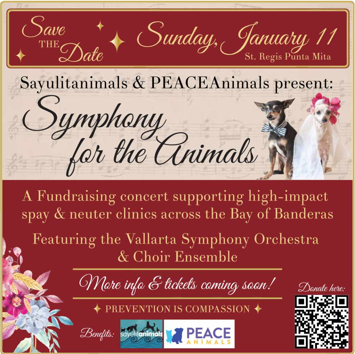 Symphony for the Animals