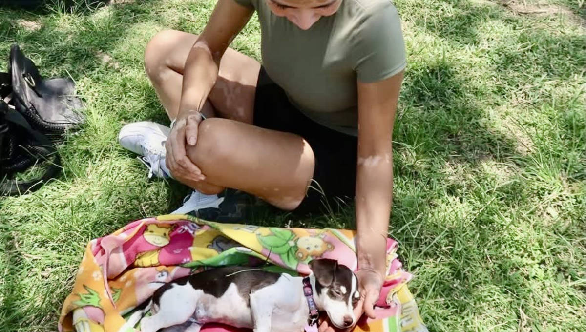 La Cruz de Huanacaxtle